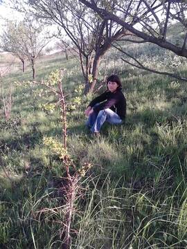 Wide-size Photo