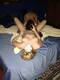 Private Photo of _Silvietta84