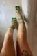Shoes green