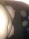 Private Photo of moonskin